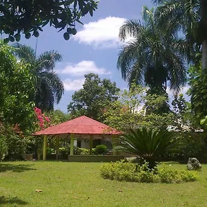  Homestay Los Palmares & Eventos